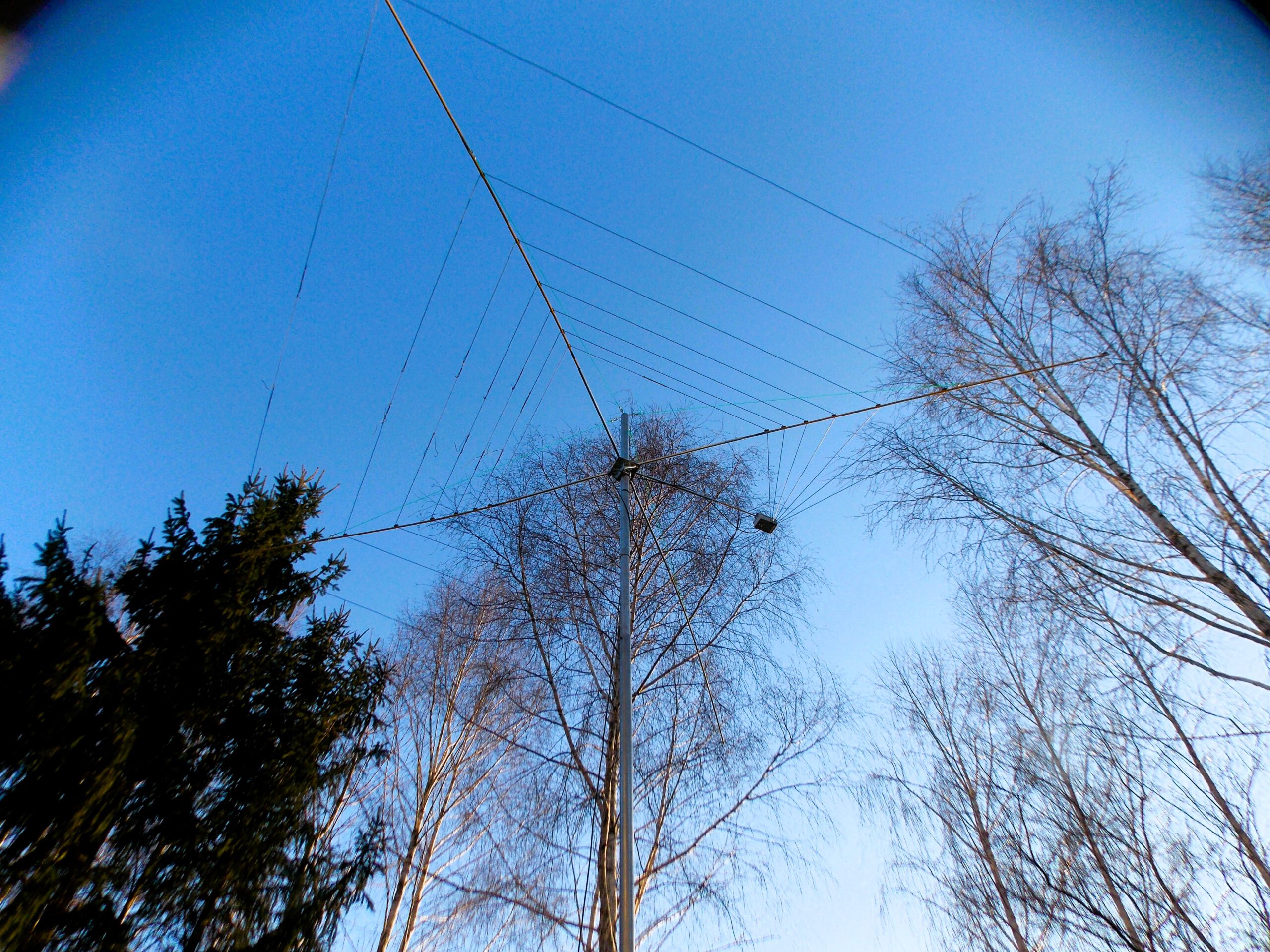 Cobweb 7 30-6m - Image 2